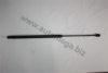 AUTOMEGA 3101320725 Gas Spring, boot-/cargo area
